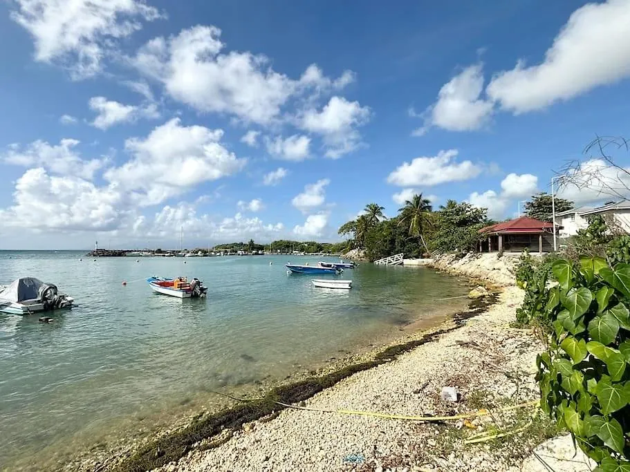 아파트 Le Refuge De Chrystel : Plage Accessible A Pied 르 고지에 과달루프